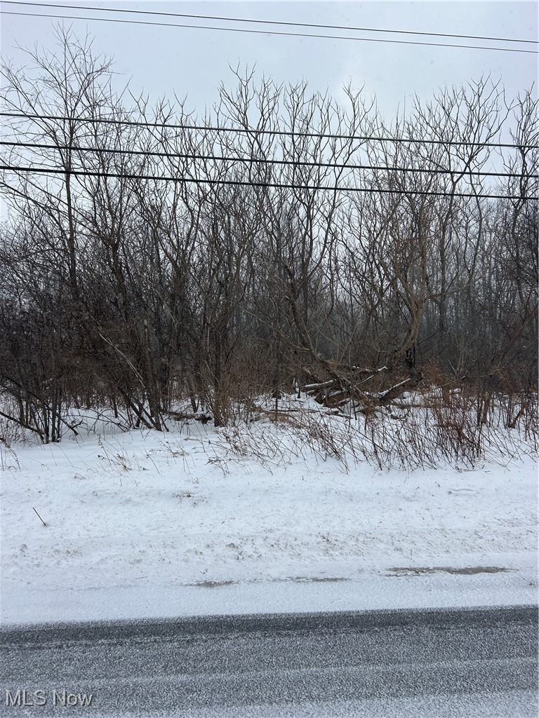 V/l Leroy Center Road Property Photo 1