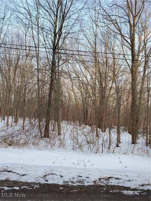 Walter Main Road Property Photo 4