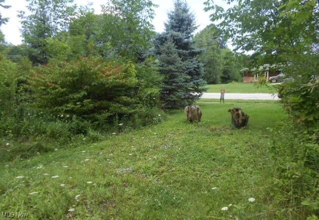 Vl Shurmer Road Property Photo 1