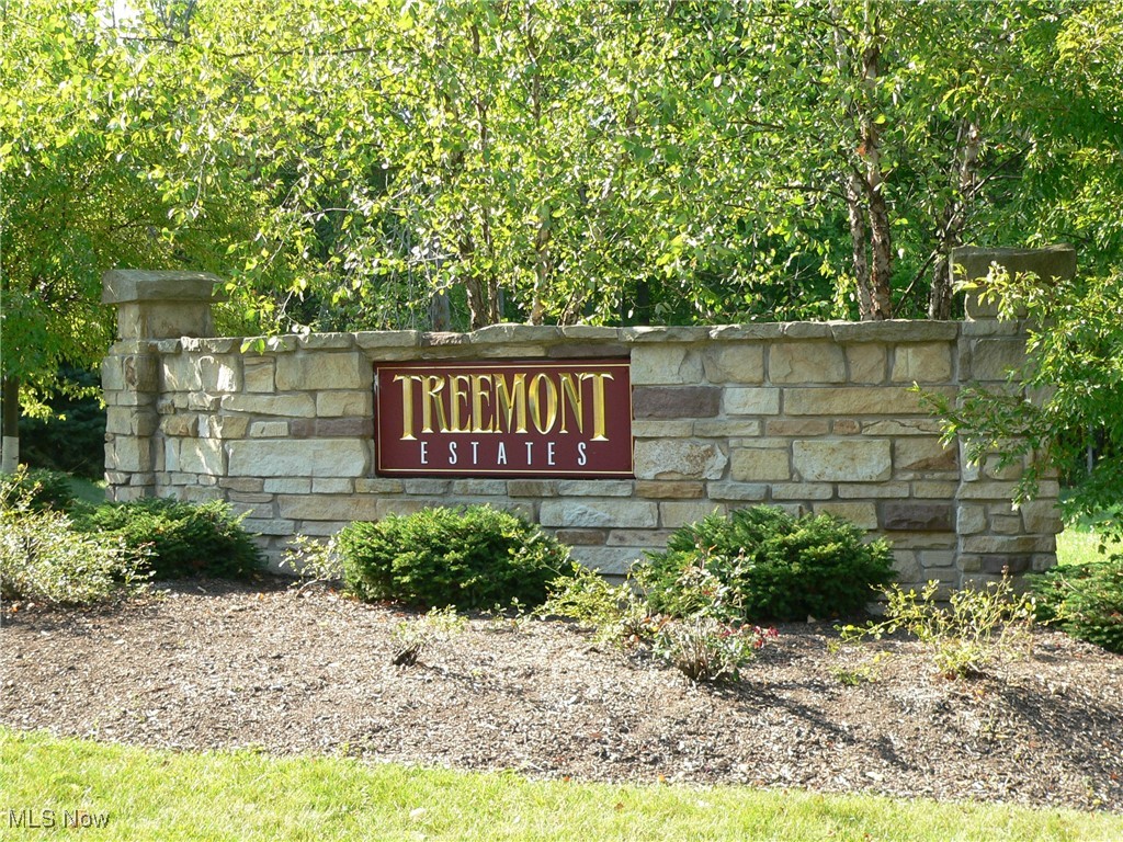 Honeymont Road SW