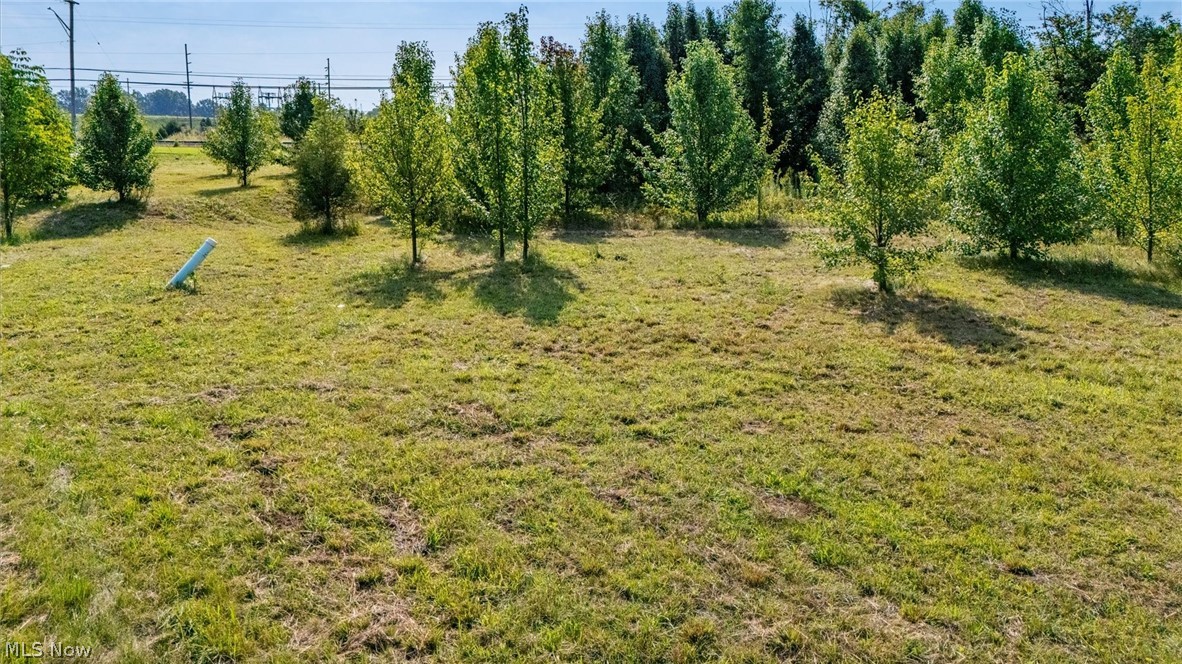 0 Wedgewood Circle Property Photo 8