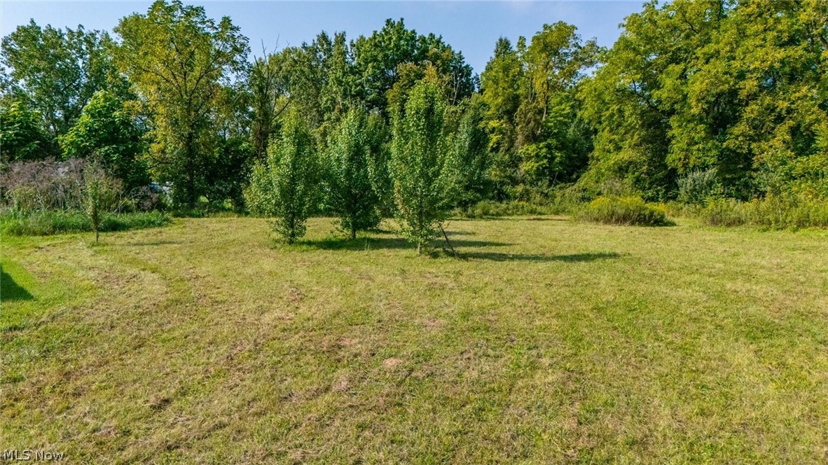 0 Wedgewood Circle Property Photo 10