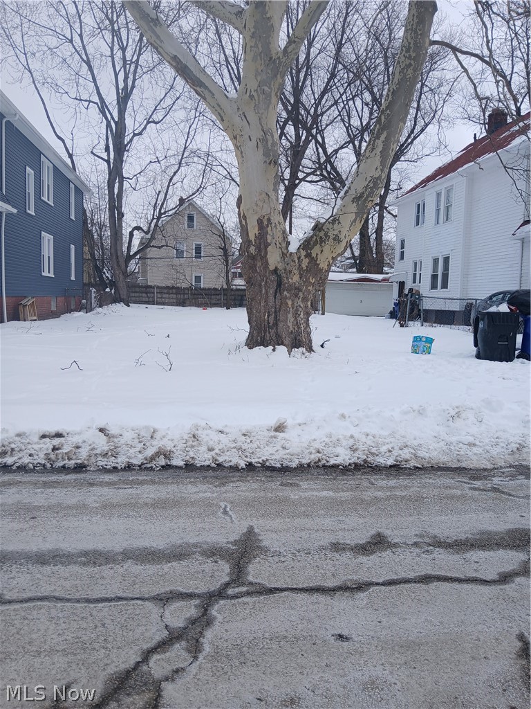 1189 E 146th Street Property Photo 2