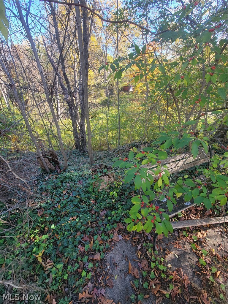 27015 Aurora Road Property Photo 38