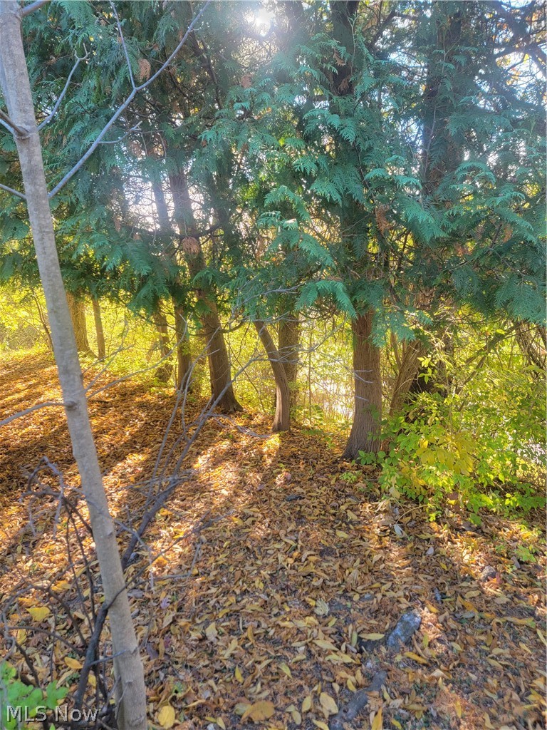 27015 Aurora Road Property Photo 41