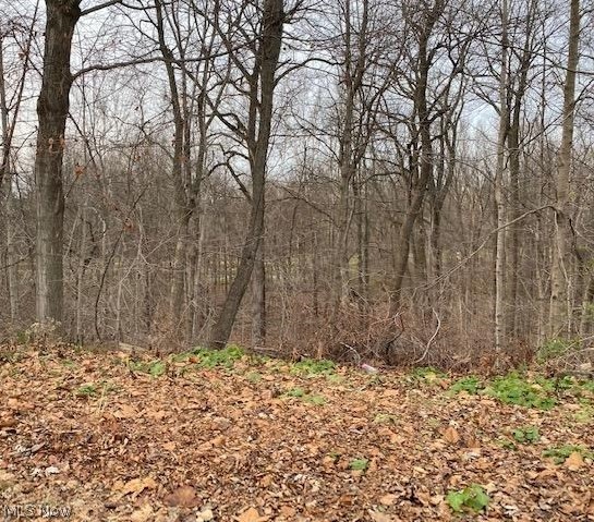 202 Old State Road S Property Photo 24