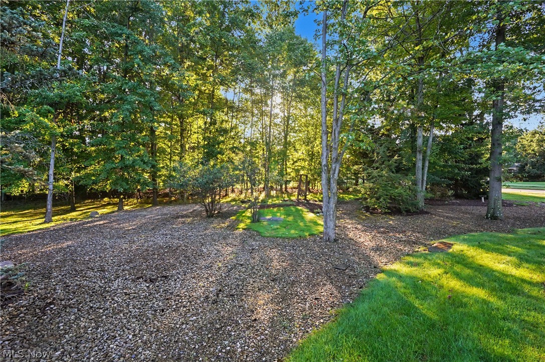 21 Timber Run Court Property Photo 42