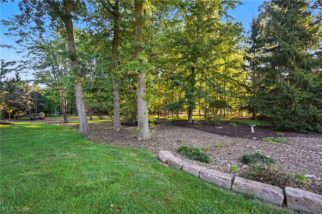 21 Timber Run Court Property Photo 43