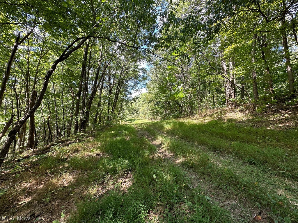 8292 State Route 60 Property Photo 2