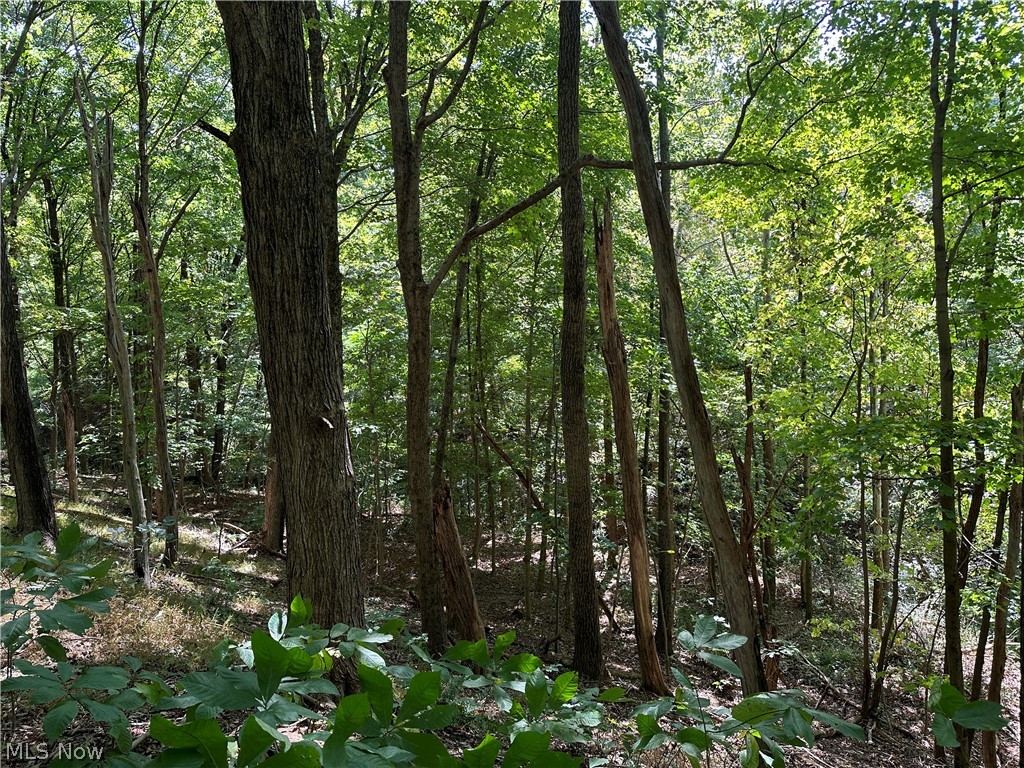 8292 State Route 60 Property Photo 3