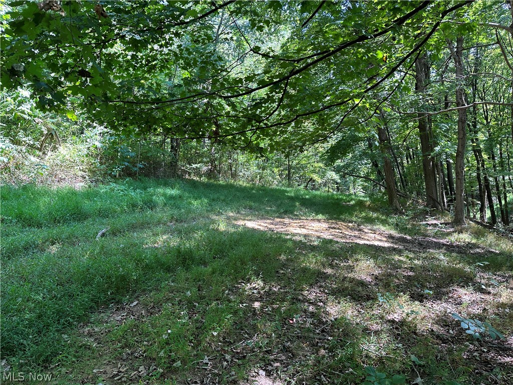 8292 State Route 60 Property Photo 4
