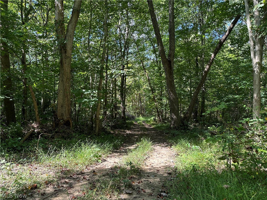 8292 State Route 60 Property Photo 5