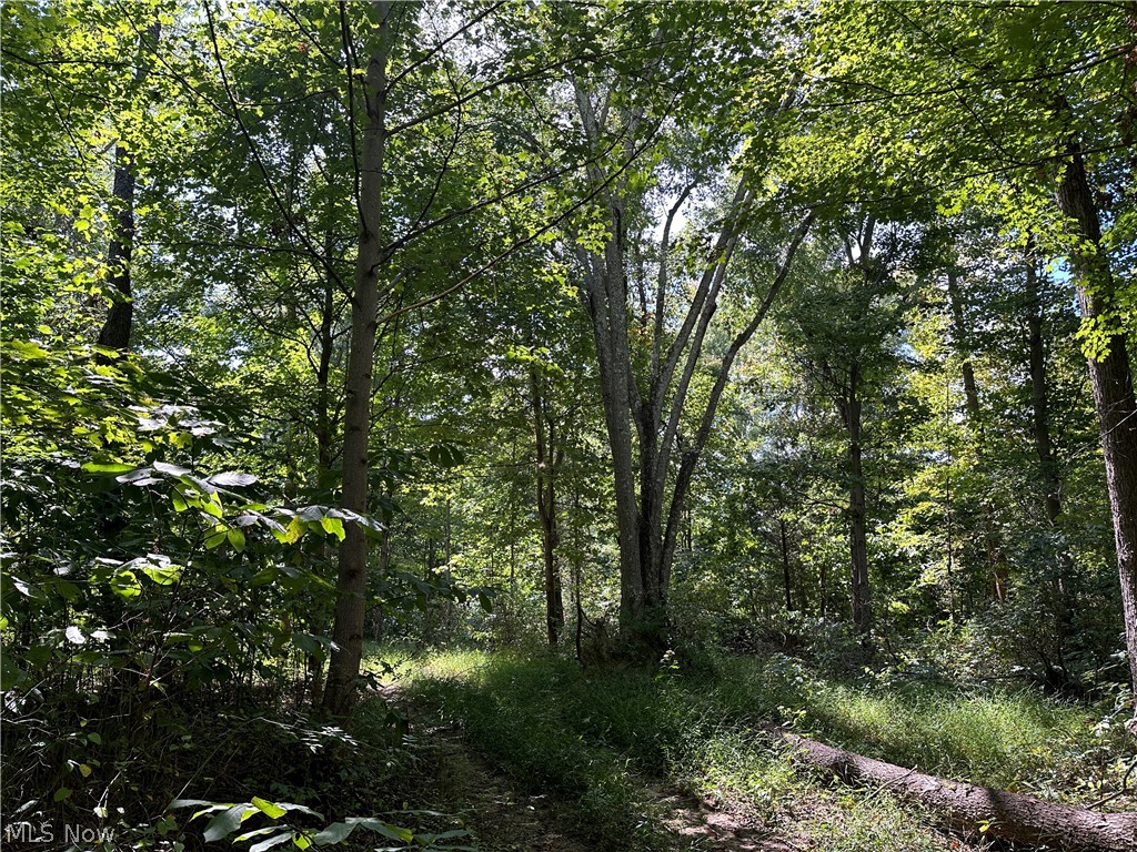 8292 State Route 60 Property Photo 6