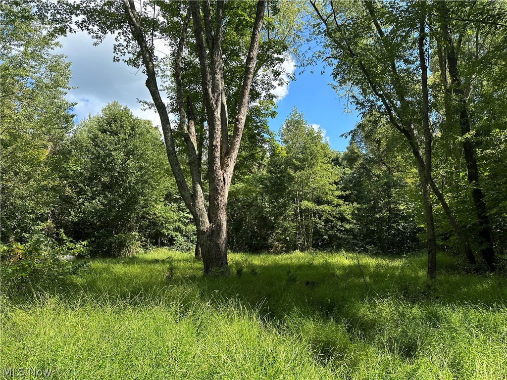 8292 State Route 60 Property Photo 7