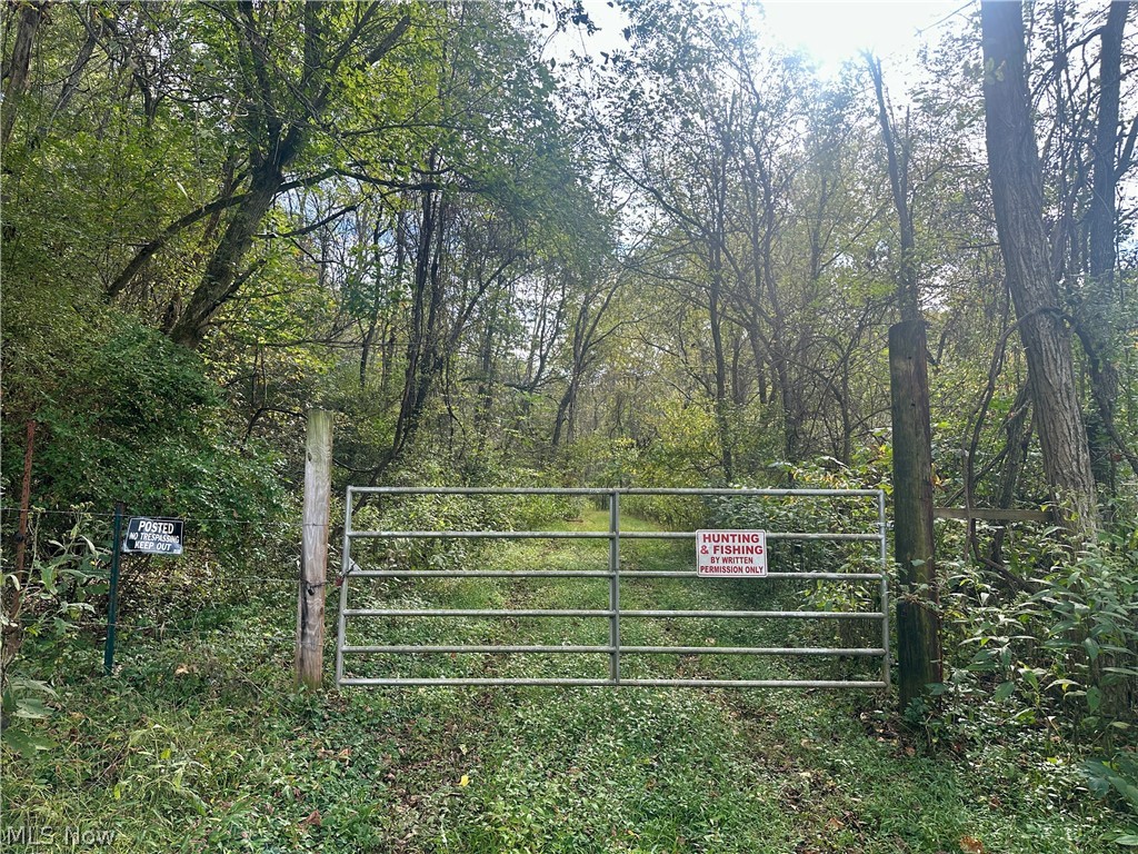 0 Tadpole Run Rd Property Photo 1