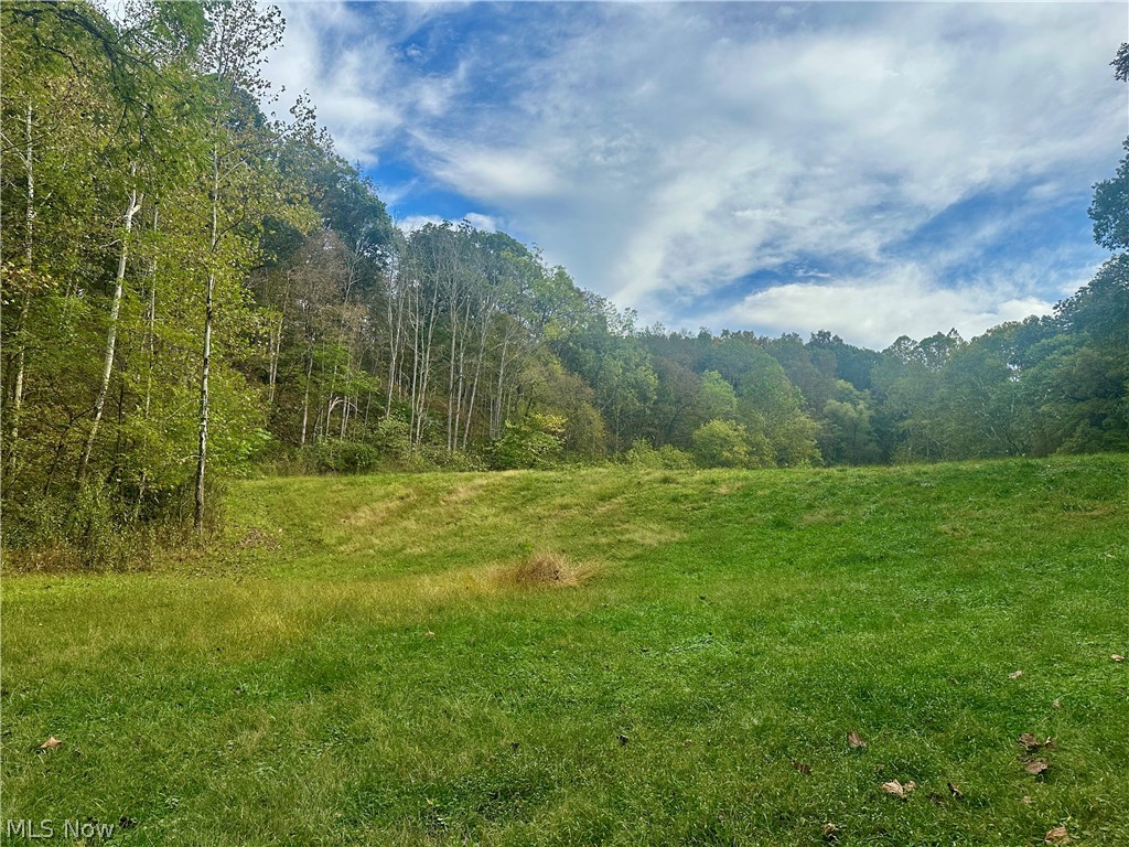 0 Tadpole Run Rd Property Photo 2