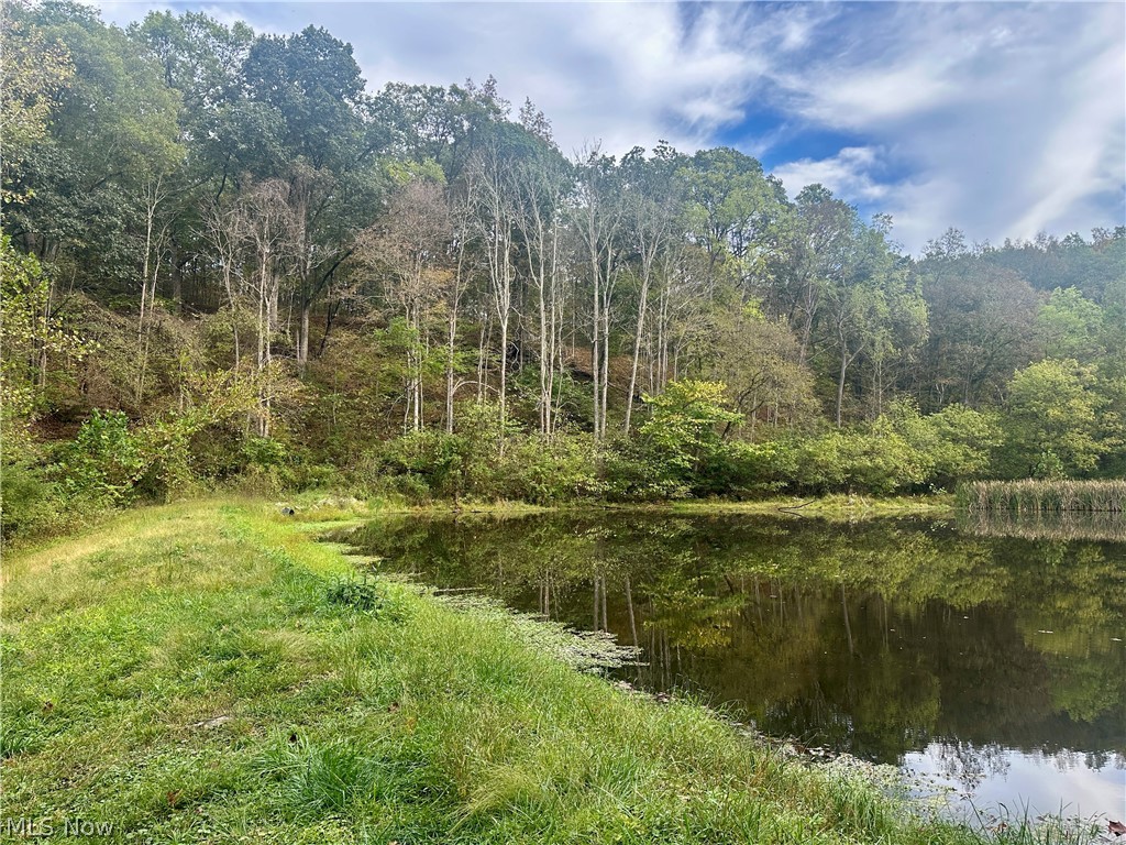 0 Tadpole Run Rd Property Photo 3