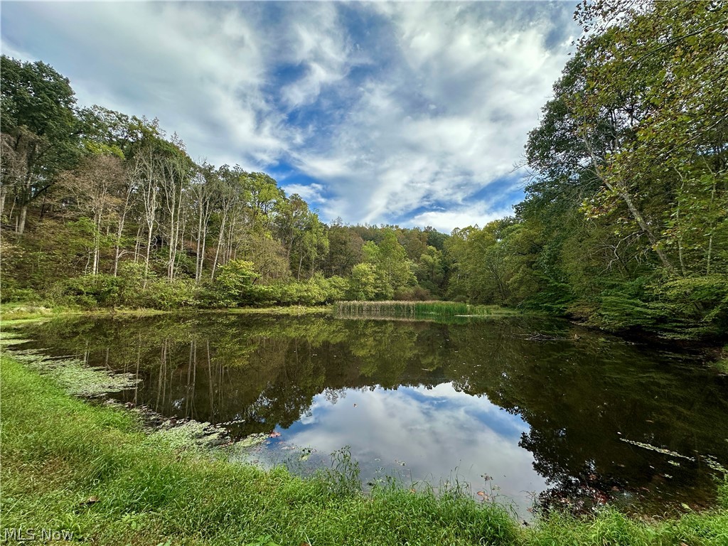 0 Tadpole Run Rd Property Photo 4