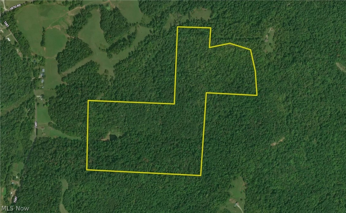 0 Tadpole Run Rd Property Photo 6