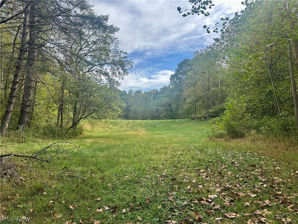 0 Tadpole Run Rd Property Photo 8