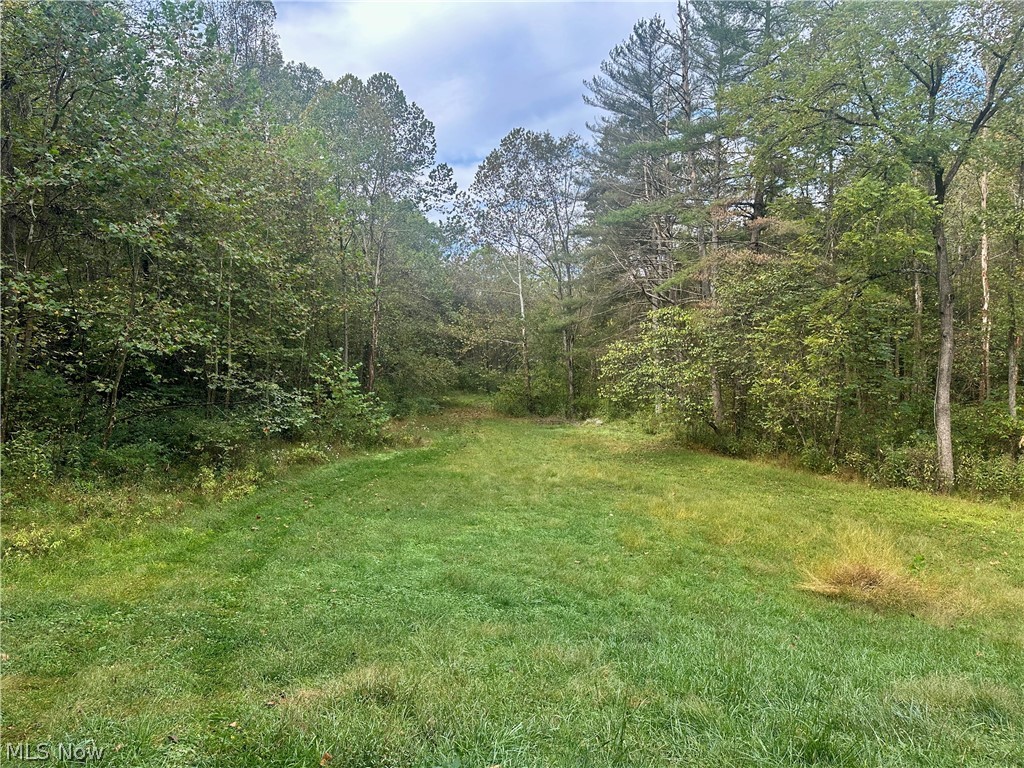 0 Tadpole Run Rd Property Photo 11