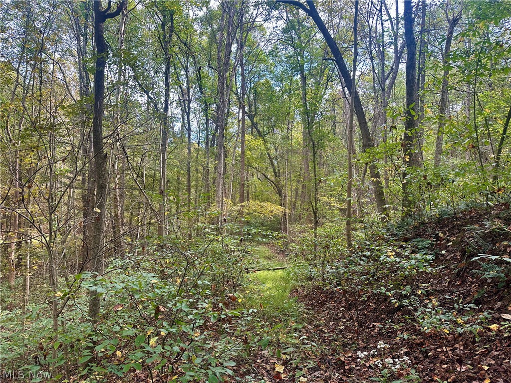 0 Tadpole Run Rd Property Photo 12