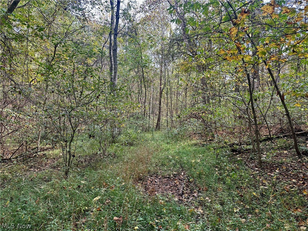 0 Tadpole Run Rd Property Photo 14