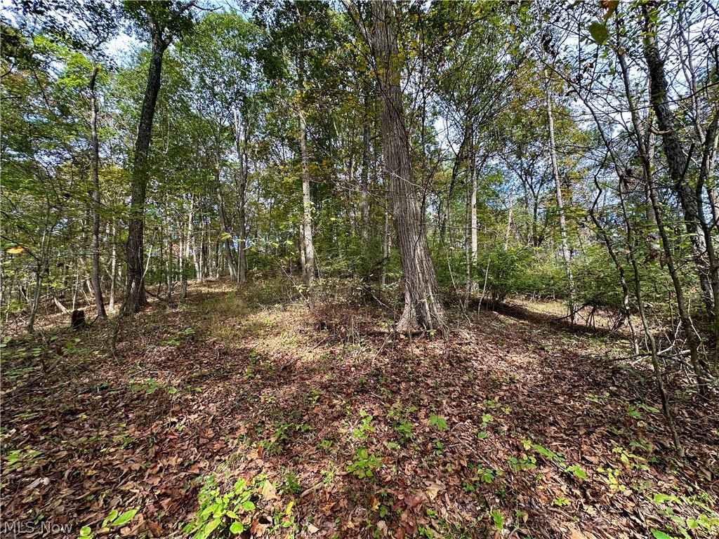 0 Tadpole Run Rd Property Photo 17