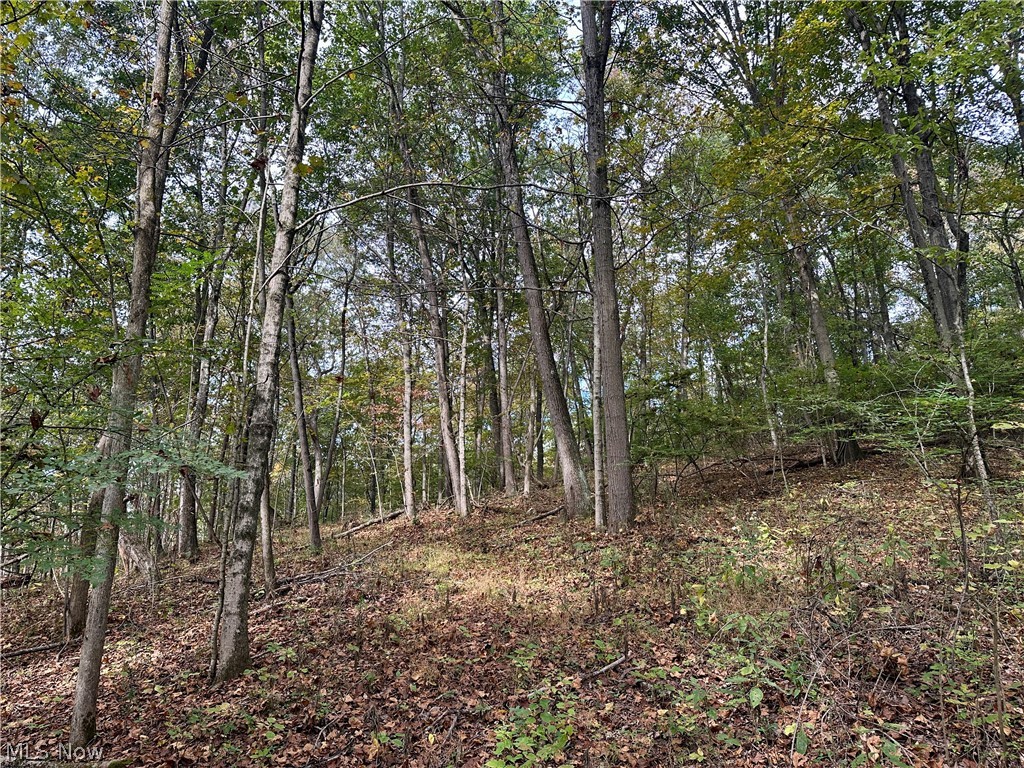 0 Tadpole Run Rd Property Photo 19