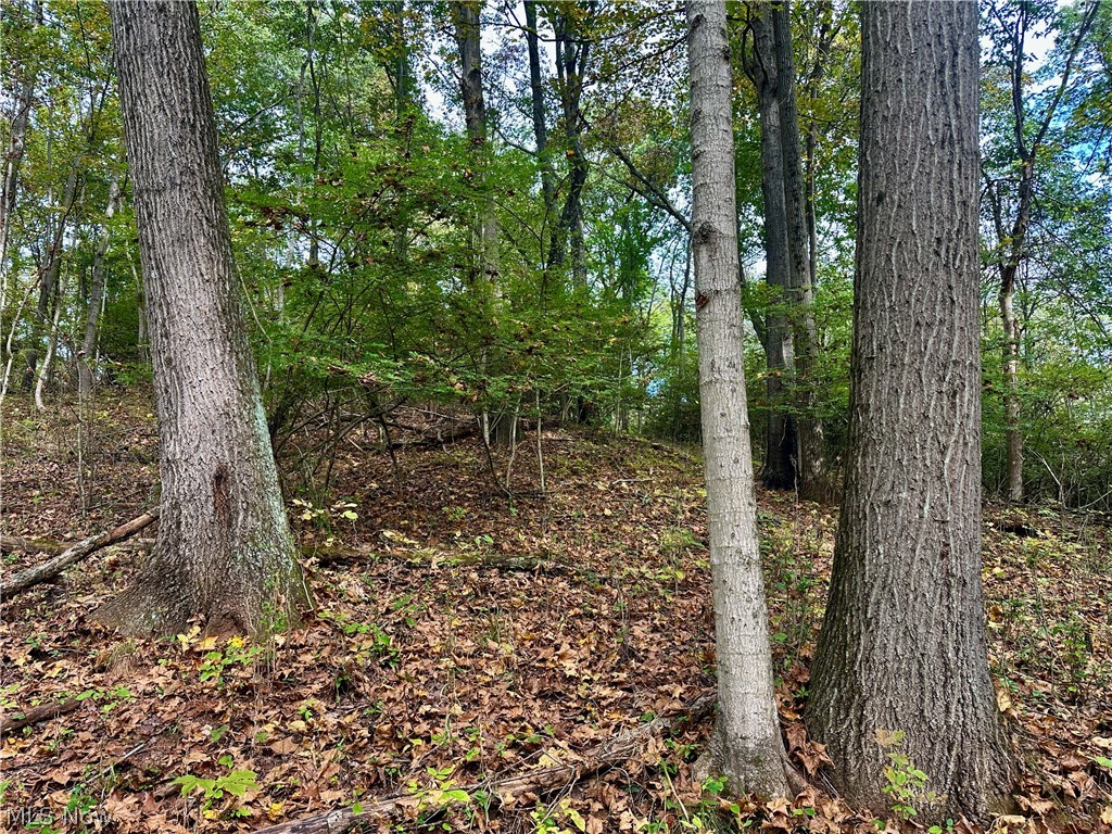 0 Tadpole Run Rd Property Photo 20