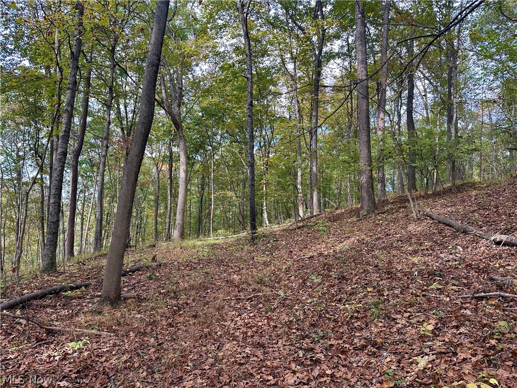 0 Tadpole Run Rd Property Photo 21