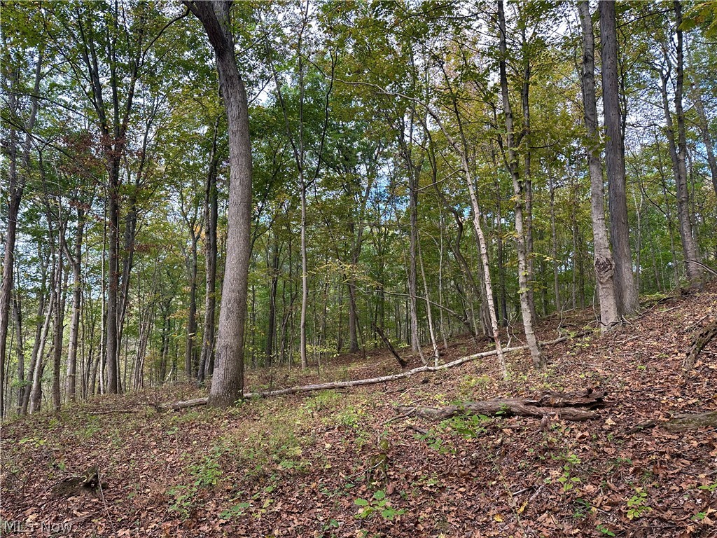 0 Tadpole Run Rd Property Photo 22