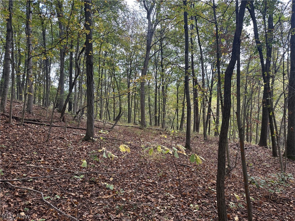 0 Tadpole Run Rd Property Photo 25