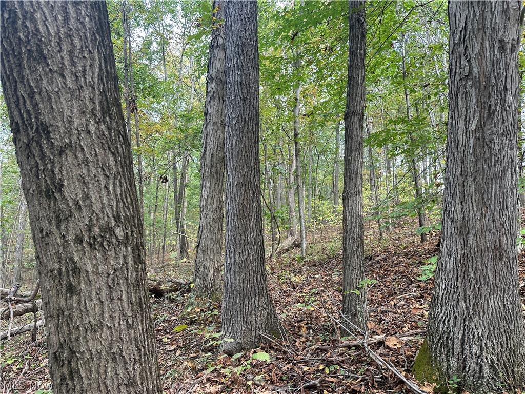 0 Tadpole Run Rd Property Photo 26