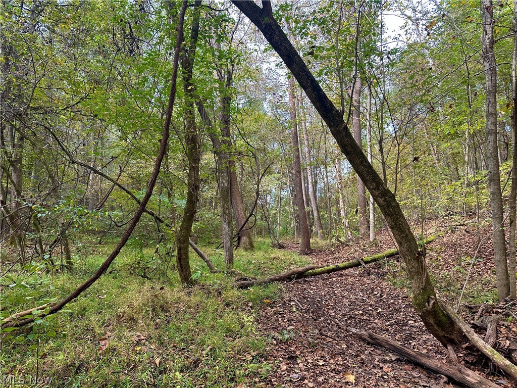 0 Tadpole Run Rd Property Photo 27
