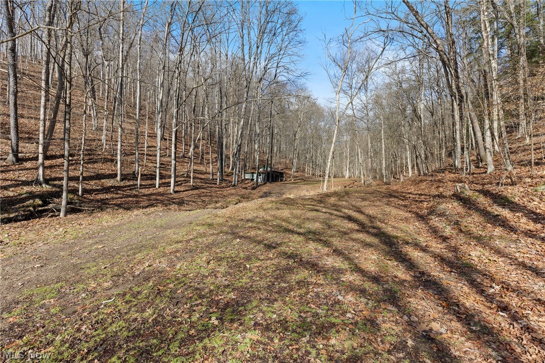 2994 State Route 524 Property Photo 28