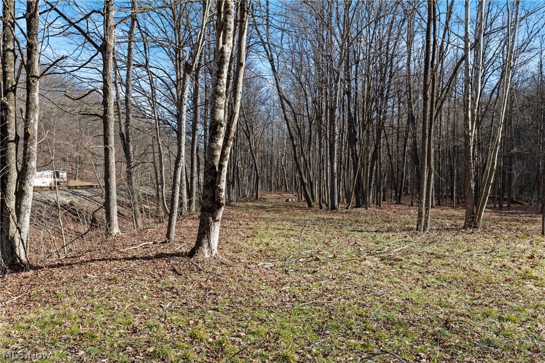 2994 State Route 524 Property Photo 31