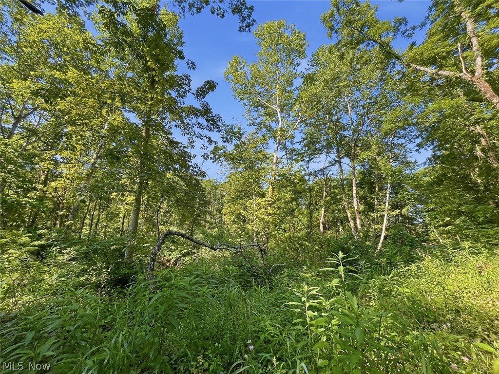 0 State Route 155 Se Property Photo 2