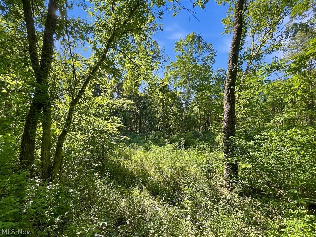 0 State Route 155 Se Property Photo 8
