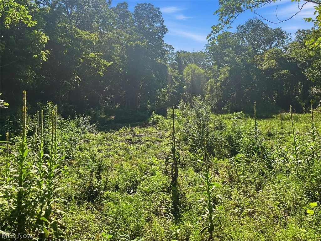 0 State Route 155 Se Property Photo 9