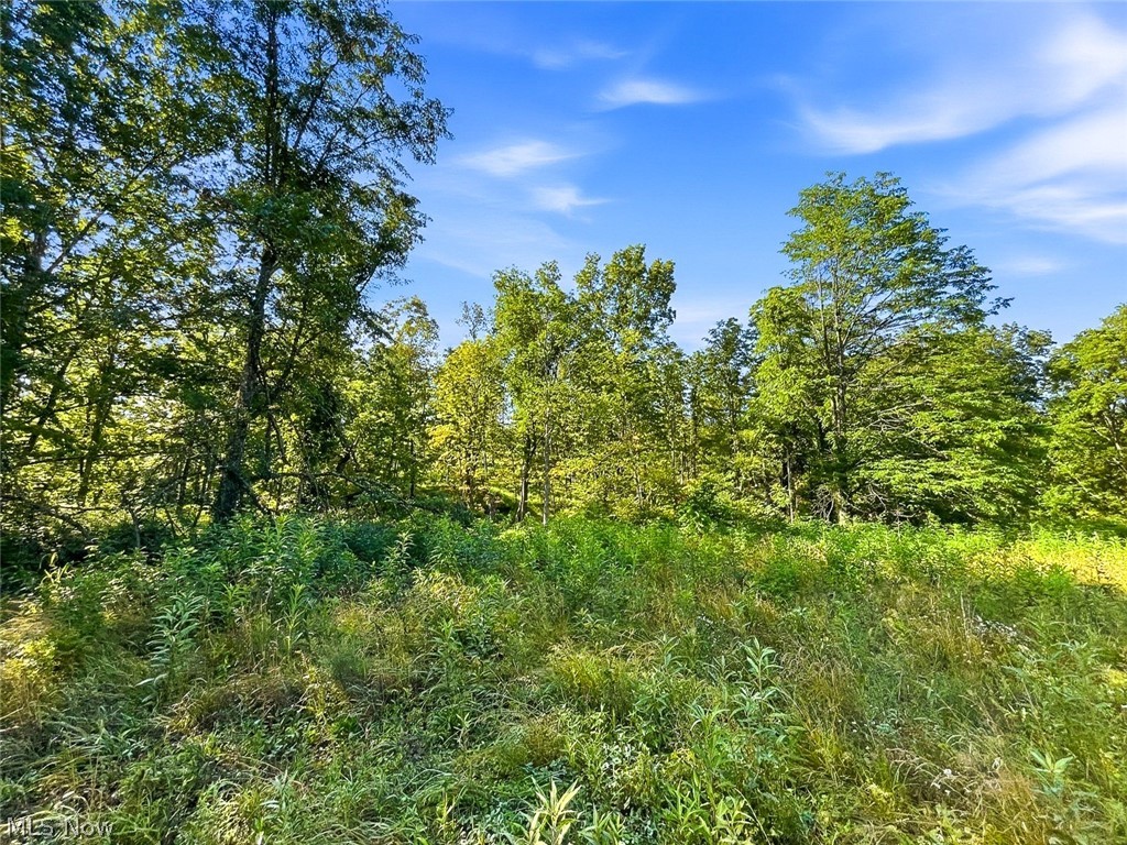 0 State Route 155 Se Property Photo 10
