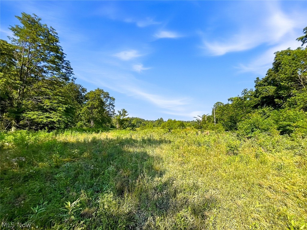 0 State Route 155 Se Property Photo 11