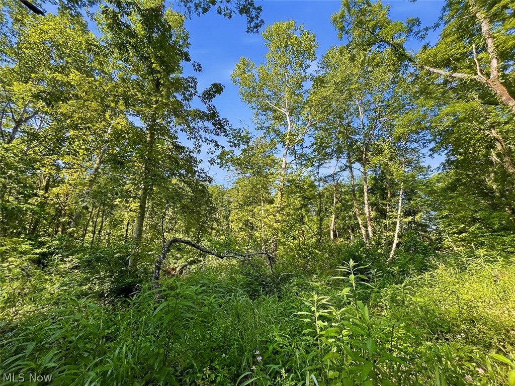 0 State Route 155 Se Property Photo 12