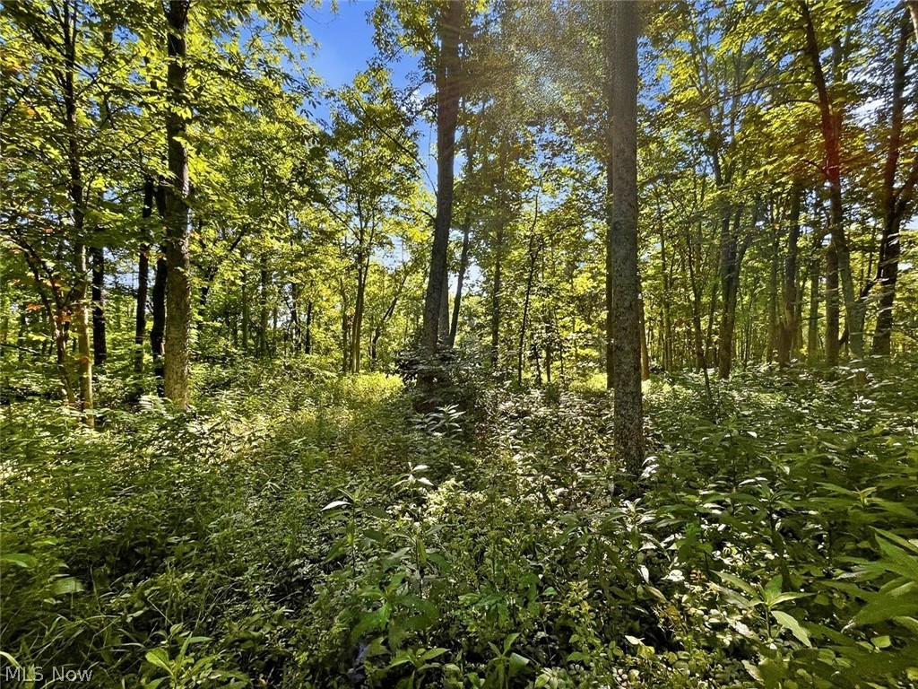 0 State Route 155 Se Property Photo 13