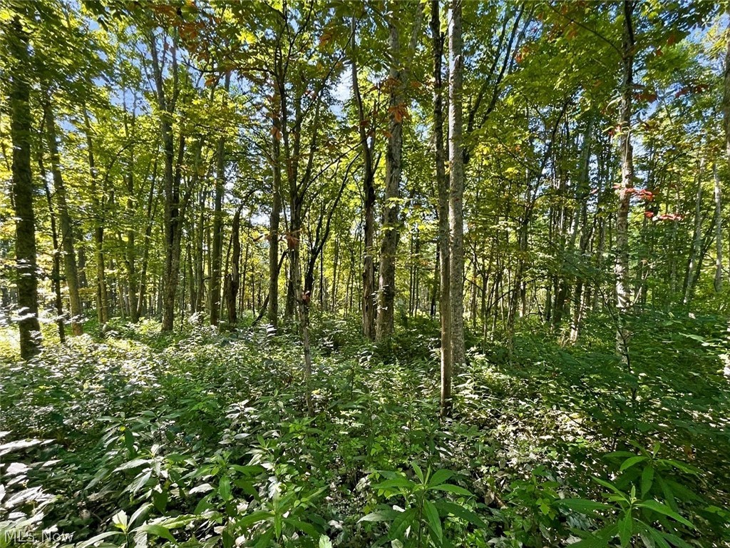 0 State Route 155 Se Property Photo 14