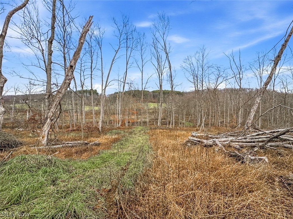 0 State Route 155 Se Property Photo 17