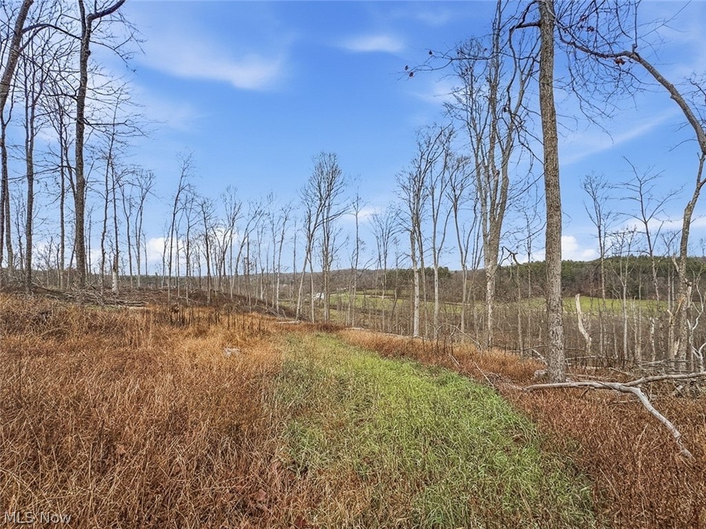 0 State Route 155 Se Property Photo 19