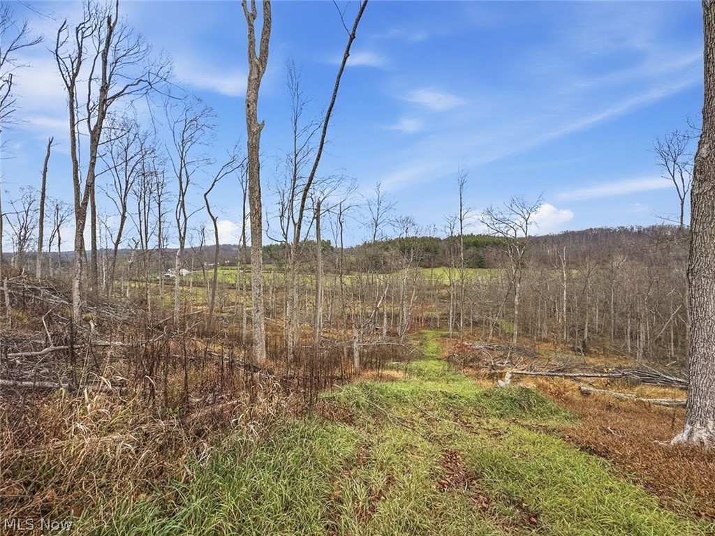 0 State Route 155 Se Property Photo 20