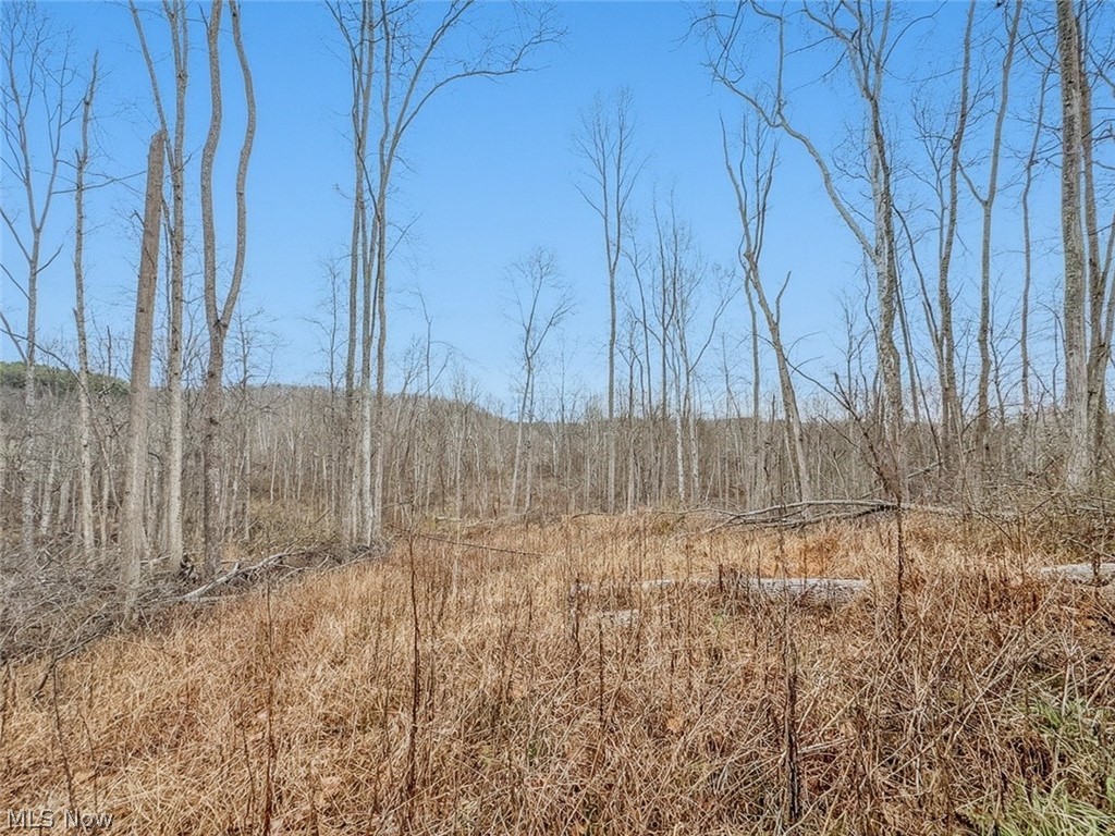 0 State Route 155 Se Property Photo 21