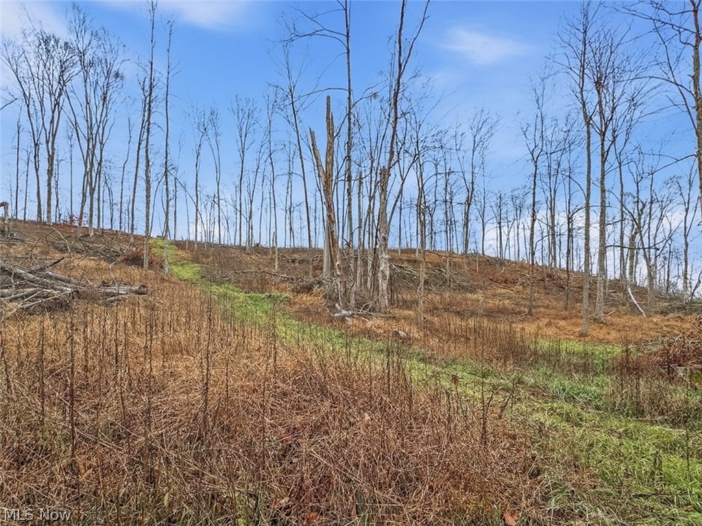 0 State Route 155 Se Property Photo 22